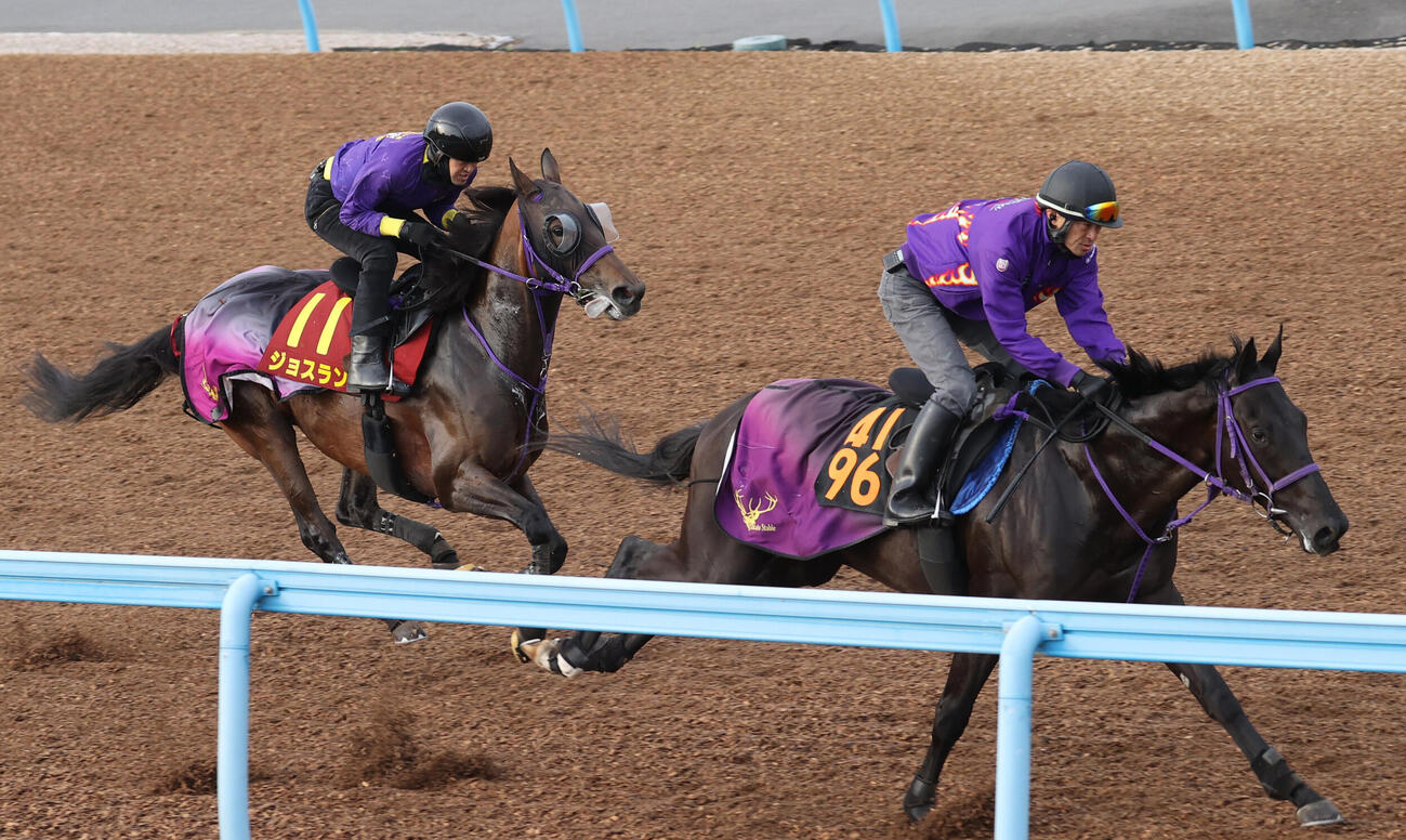 ジョスラン(左)はウインファイネストと追い切る（撮影・柴田隆二）