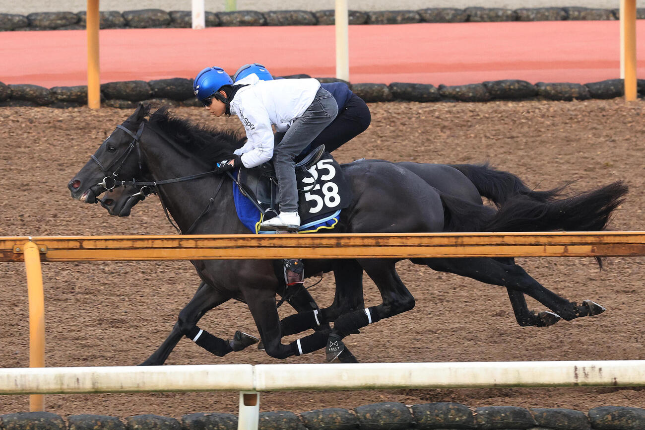 6日、北村友一騎手を背に、Cウッドコースを2頭併せで追い切るベレシート