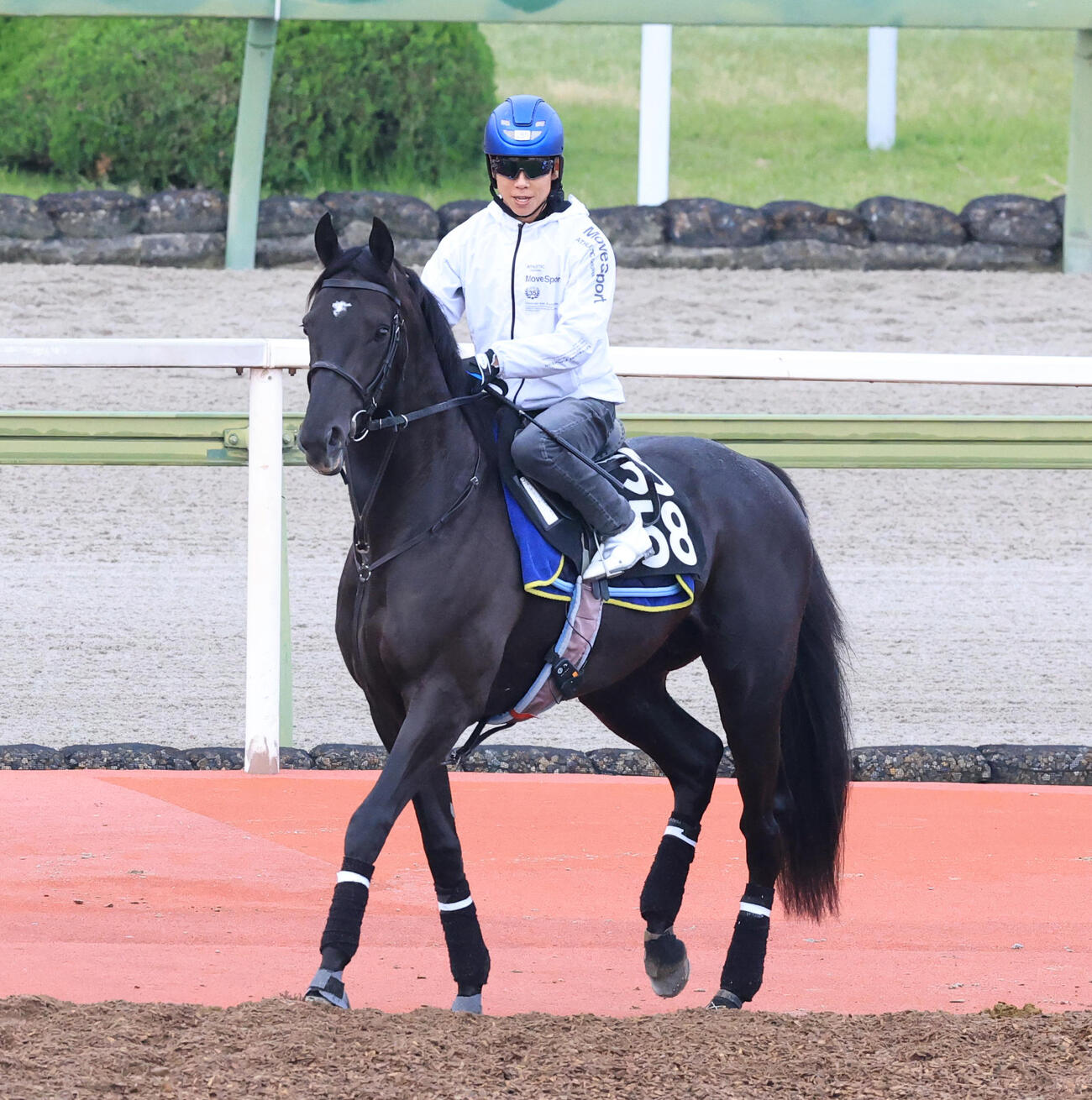 6日、北村友一騎手を背に、Cウッドコースに馬場入りするベレシート