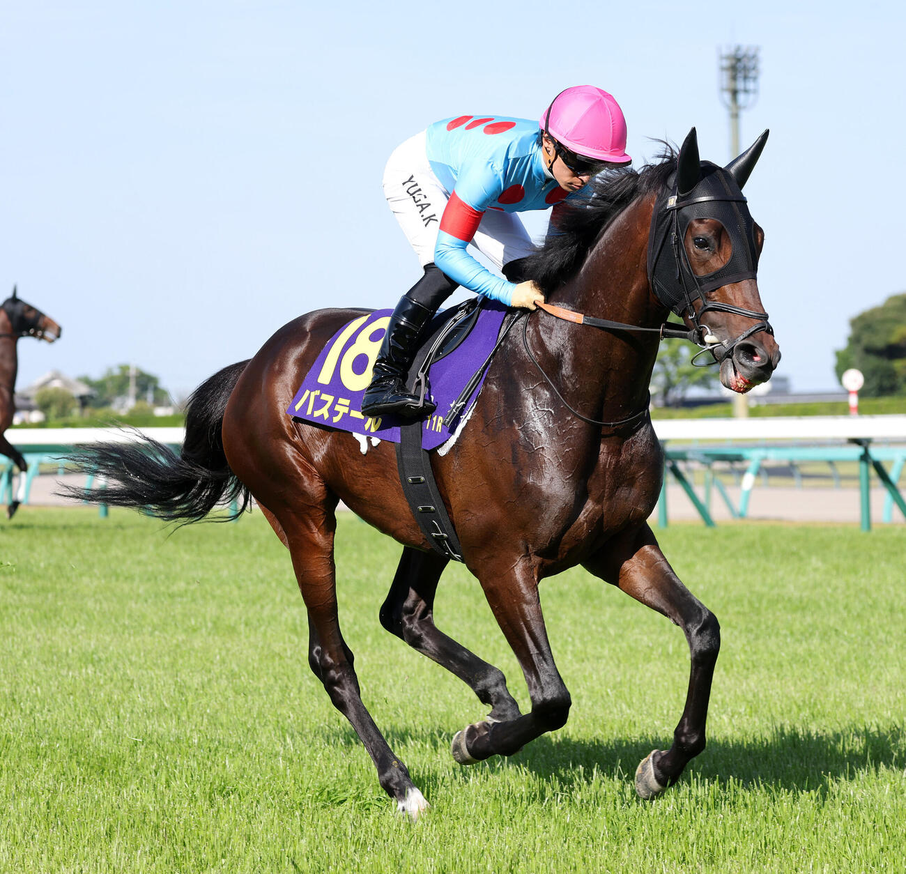 バステール（2026年4月20撮影）
