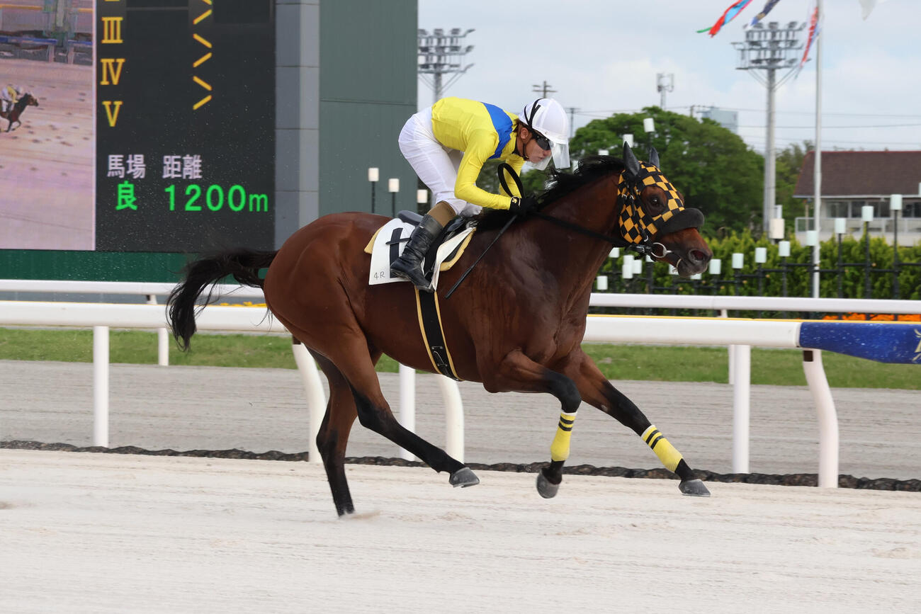 船橋4Rをエピジェネティクスが勝ち同馬を管理する船橋の川島正一調教師は地方競馬通算1000勝を達成