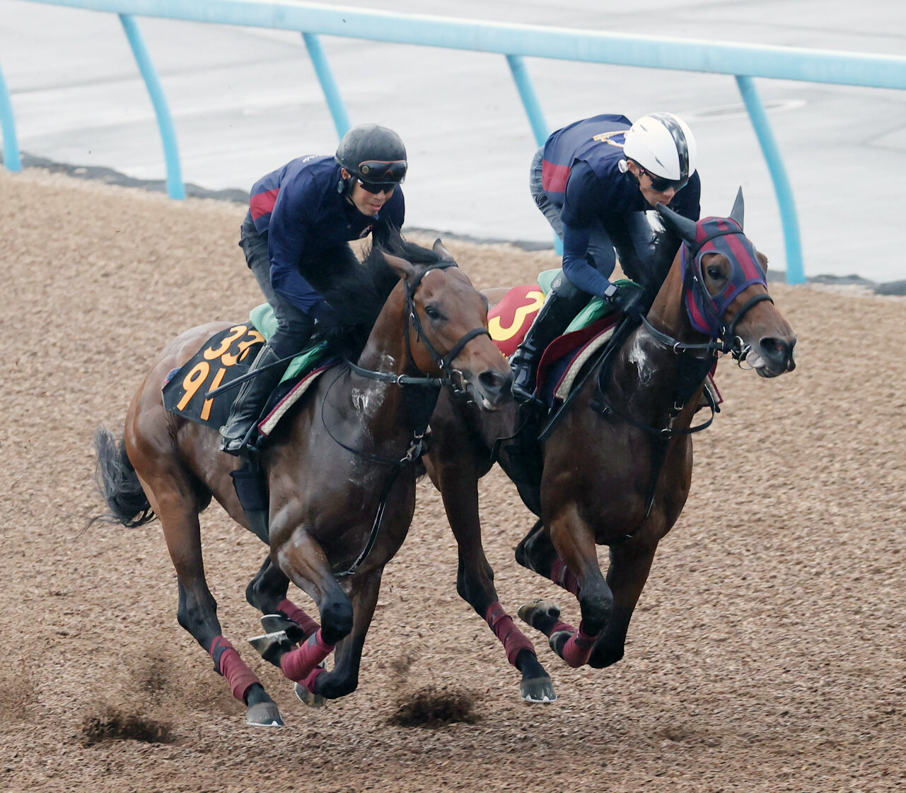 エンブロイダリー（右）はダノンクラウディアと併せて追い切る（撮影・柴田隆二）