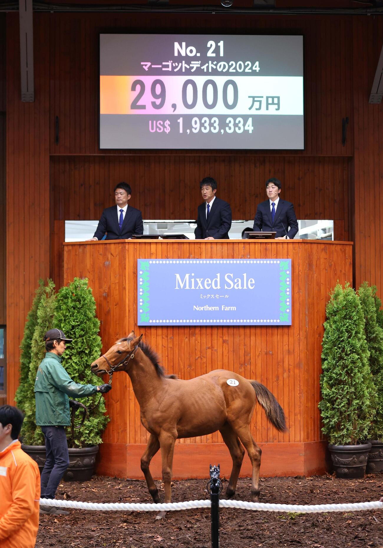 24年ミックスセール、2億9000万円で落札されたジャンゴッド（マーゴットディドの24）