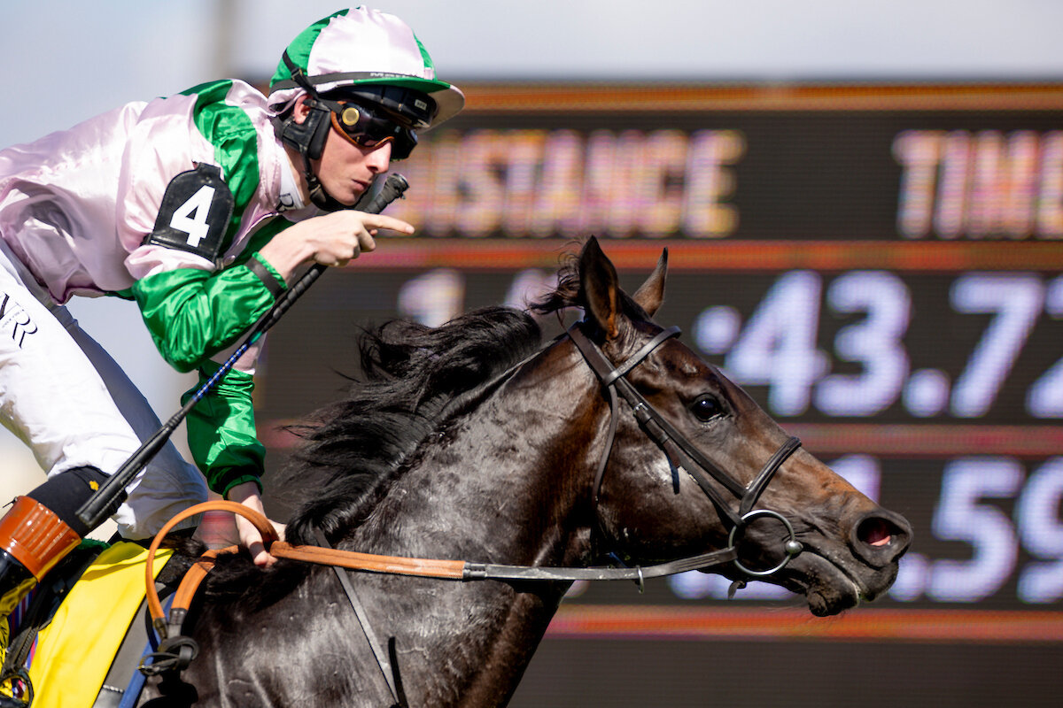 24年のBCターフスプリントを制したスターラスト（C）Alex　Evers／Eclipse　Sportswire／Breeders　Cup