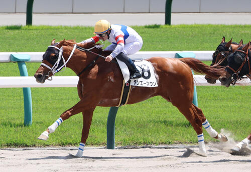 ミルコ・デムーロ騎手が日本復帰後初V「G1を勝ったみたい。うれしい