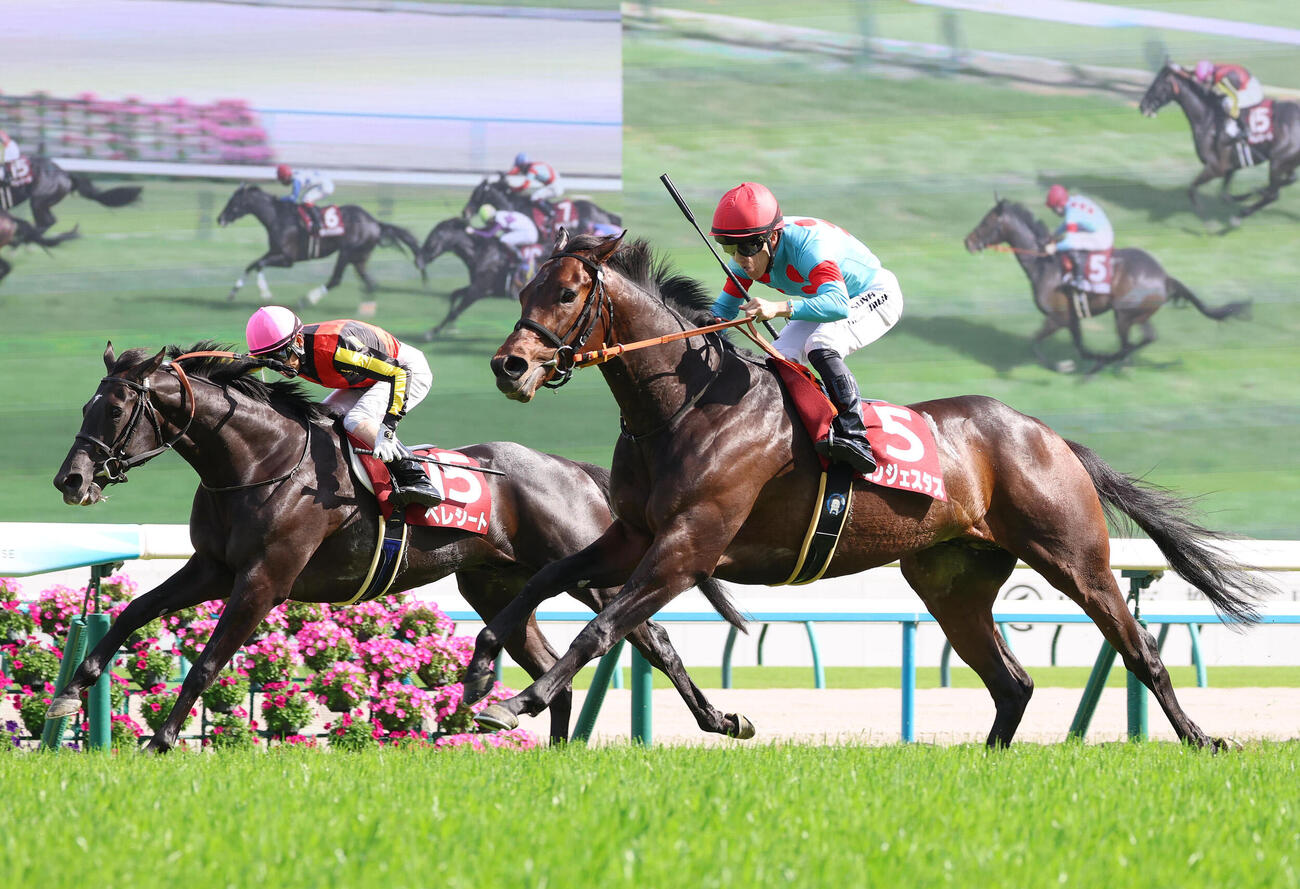 コンジェスタスが制した京都新聞杯（撮影・白石智彦）