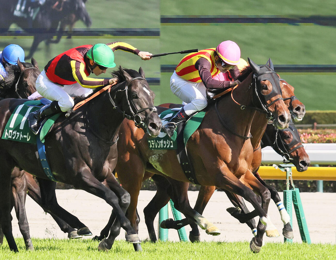 エプソムC2着に敗れたステレンボッシュ（右）。左は勝ったトロヴァトーレ（撮影・丹羽敏通）