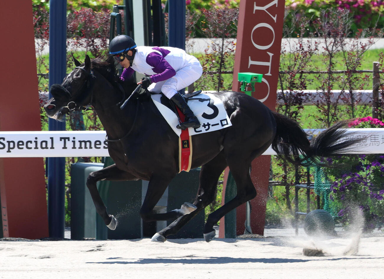 ビサーロに騎乗し京都2Rで復帰後初勝利を挙げた川須栄彦騎手（撮影・白石智彦）