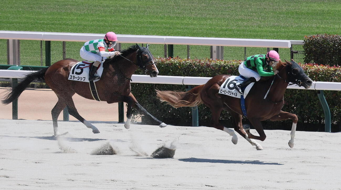 東京5R、3歳1勝クラスを制したビービーアジャイル（右）とクリストフ・ルメール騎手（撮影・丹羽敏通）