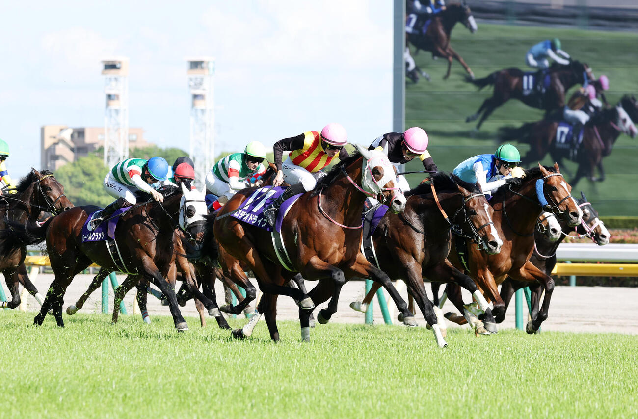 ロデオドライブ（中央）が制したNHKマイルC（撮影・鈴木正人）