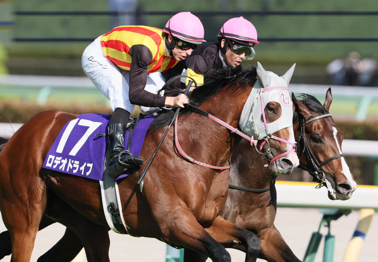 アスクイキゴミを差し切りNHKマイルCを制したロデオドライブとD・レーン騎手（撮影・丹羽敏通）