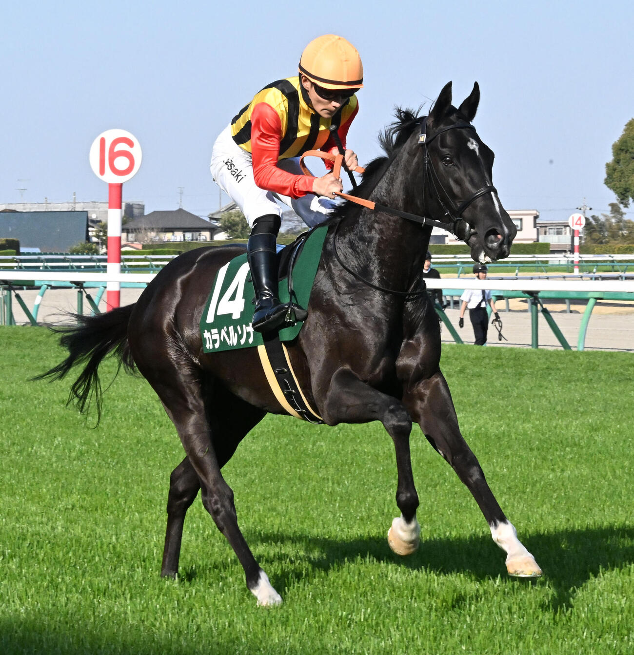 父エピファネイアと母カリーナミアの牝馬、カラペルソナ（2026年3月撮影）