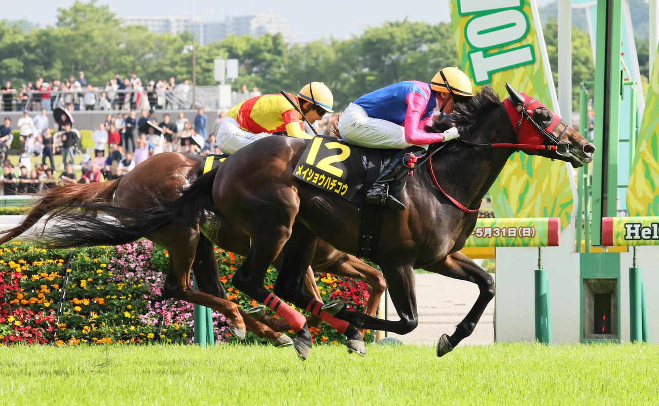 4日、プリンシパルSを制したメイショウハチコウとディー騎手（手前）