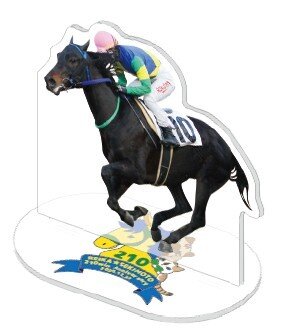 関本玲花騎手の記念グッズ（岩手県競馬組合）