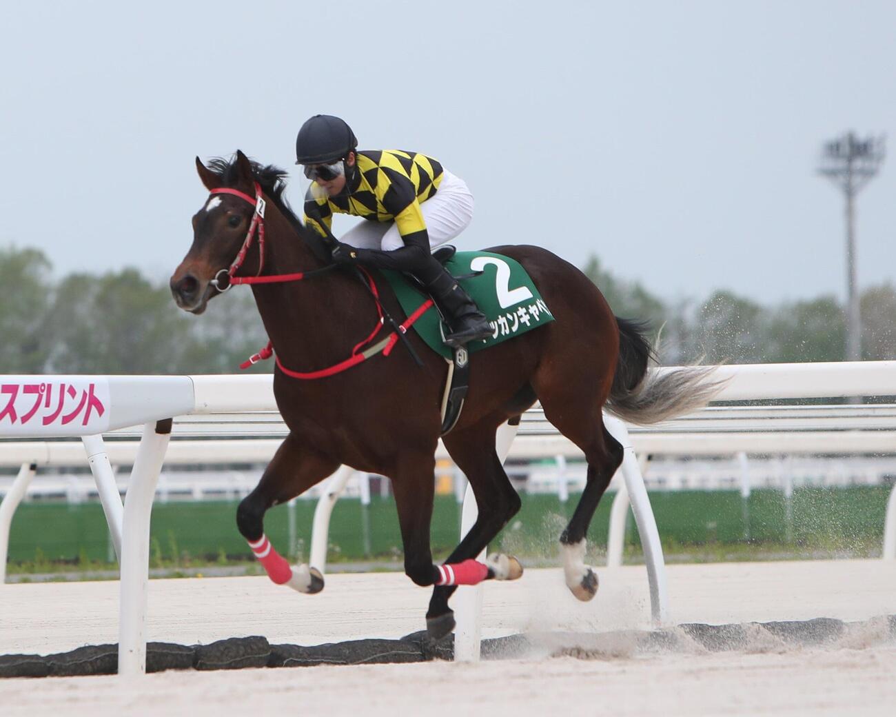 門別2歳新馬戦で大差勝ちしたドッカンキャベツ