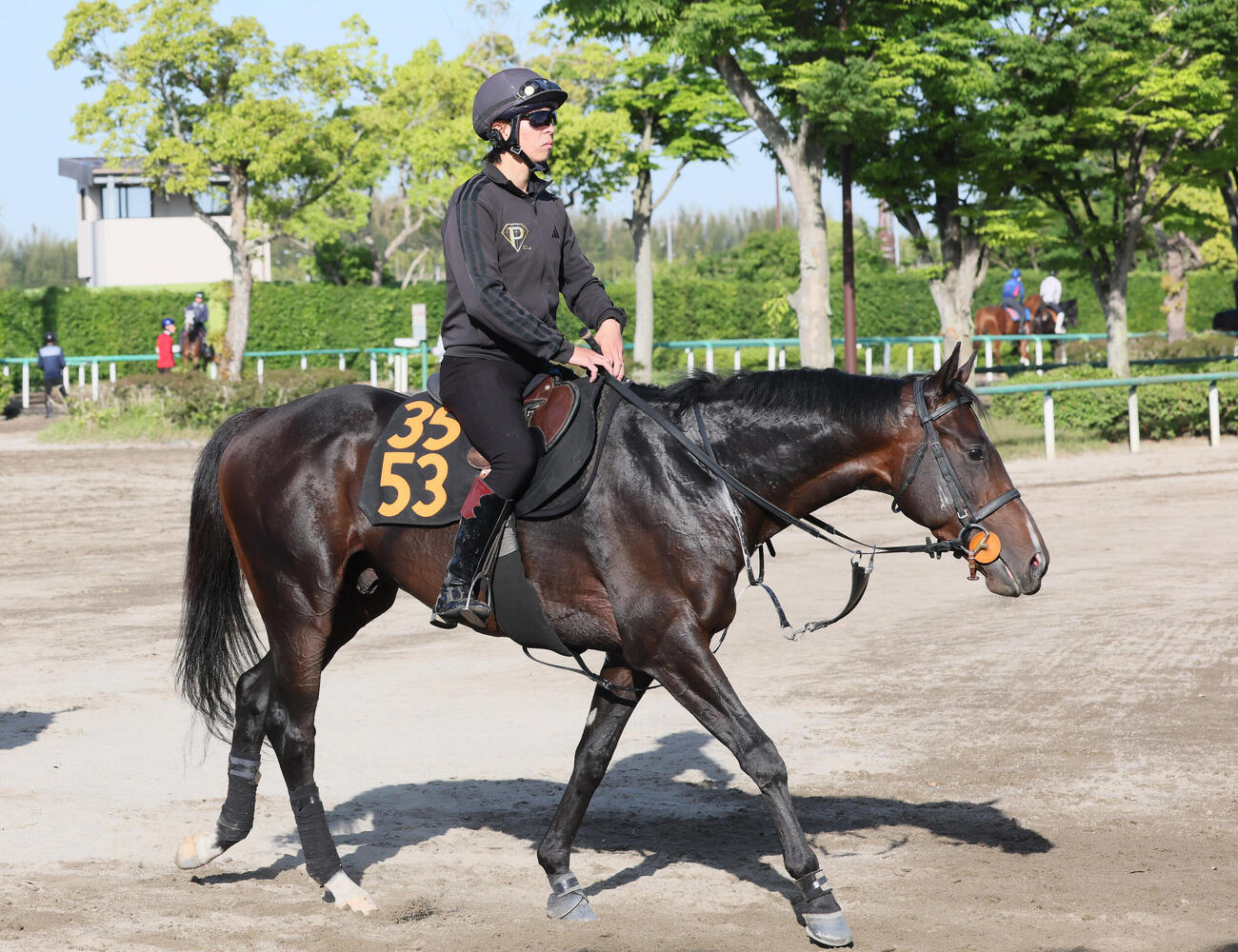 調教を終えて馬場を出るフォルテアンジェロ（撮影・丹羽敏通）