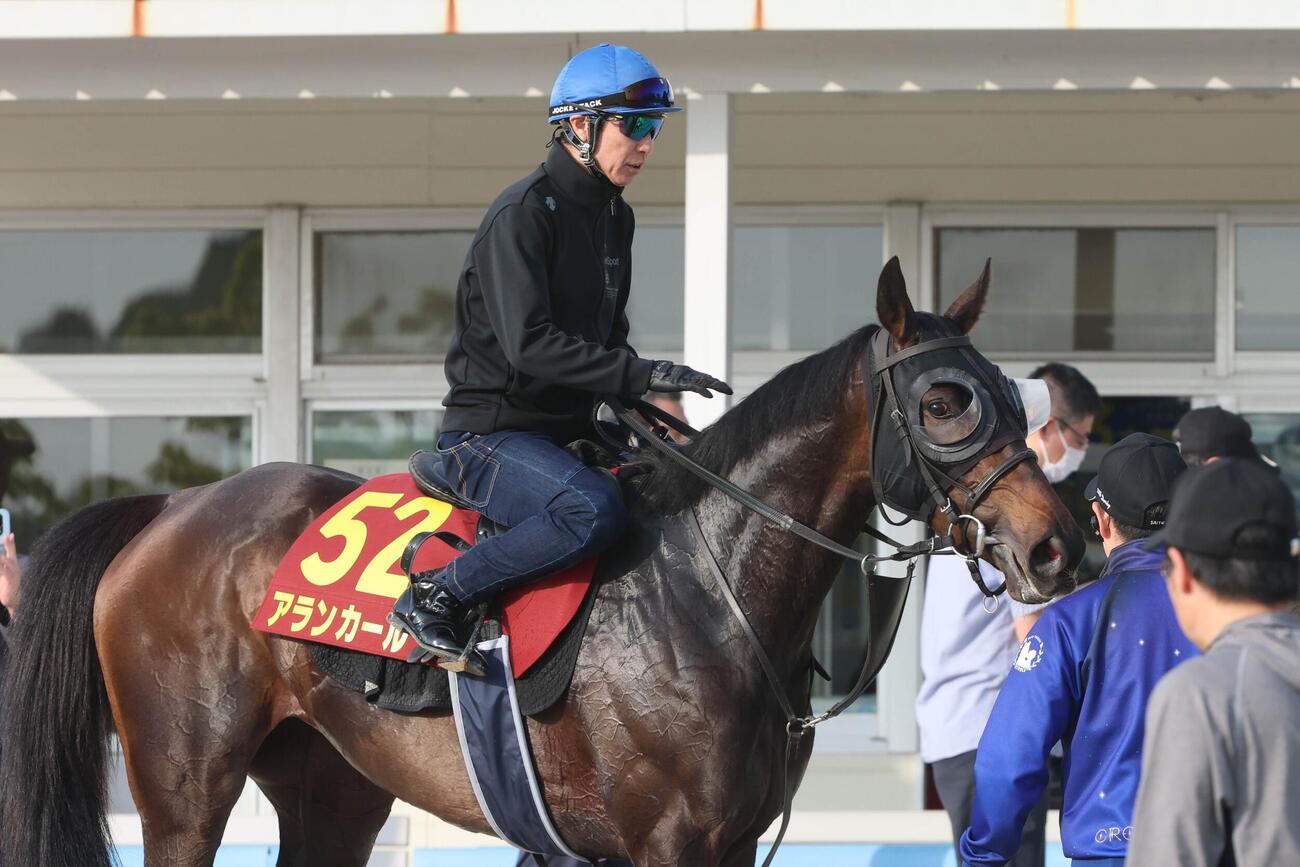 追い切りを終え引き揚げる武豊騎手騎乗のアランカール
