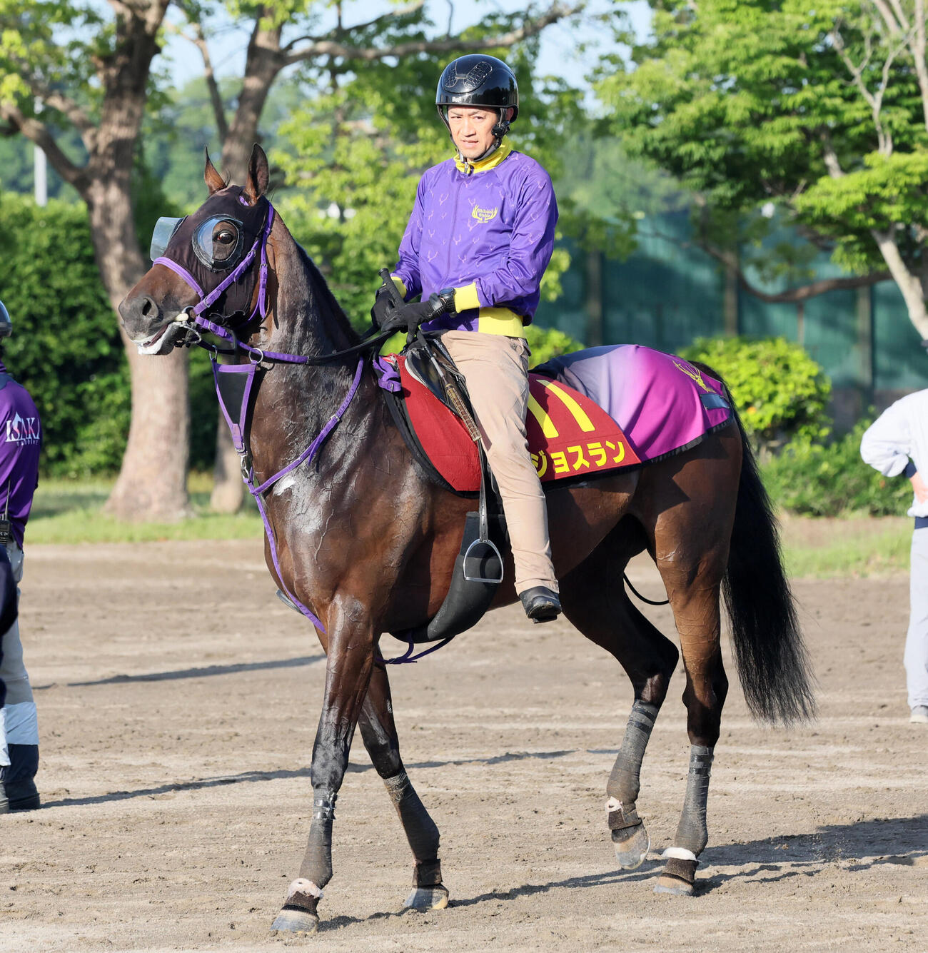 追い切りを終えて引き揚げるジョスラン（撮影・丹羽敏通）