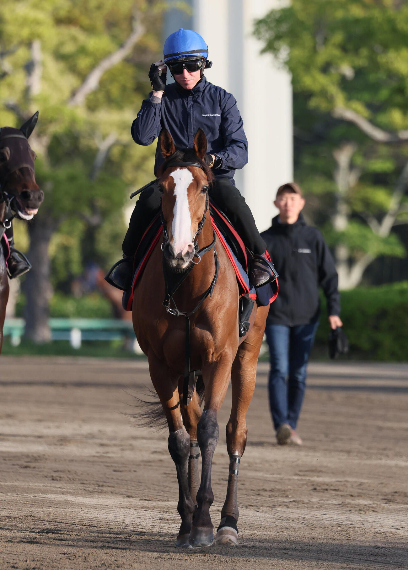 馬場へ向かうチェルヴィニアとダミアン・レーン騎手。後方は木村哲也調教師（撮影・丹羽敏通）