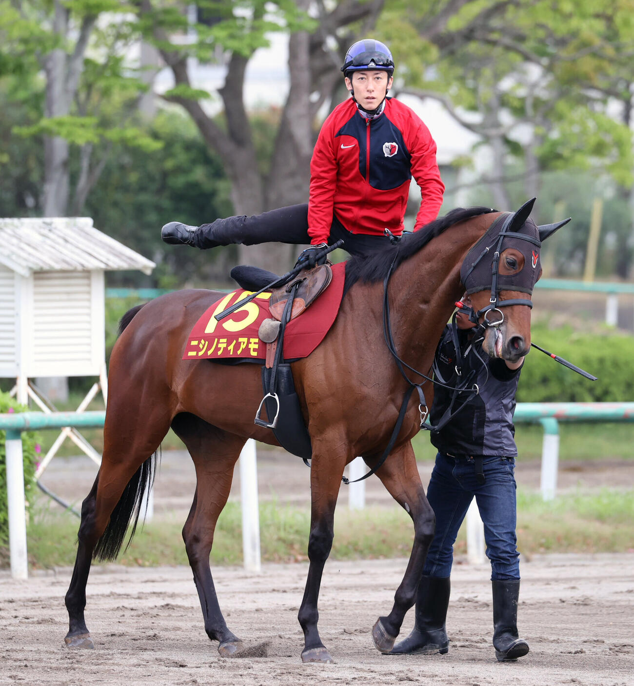 7日、津村明秀騎手を背に調教に向かうニシノティアモ（撮影・柴田隆二）