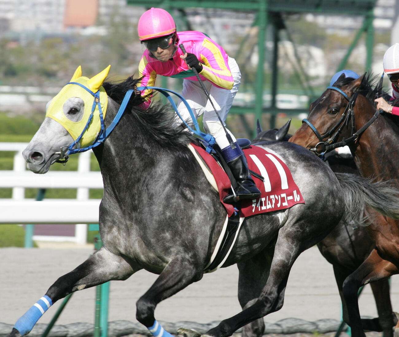 2010年、大阪杯を制したテイエムアンコール