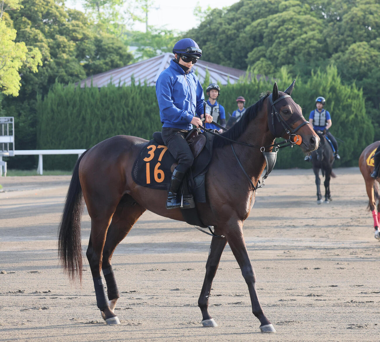 馬場へ向かうライヒスアドラー（撮影・丹羽敏通）
