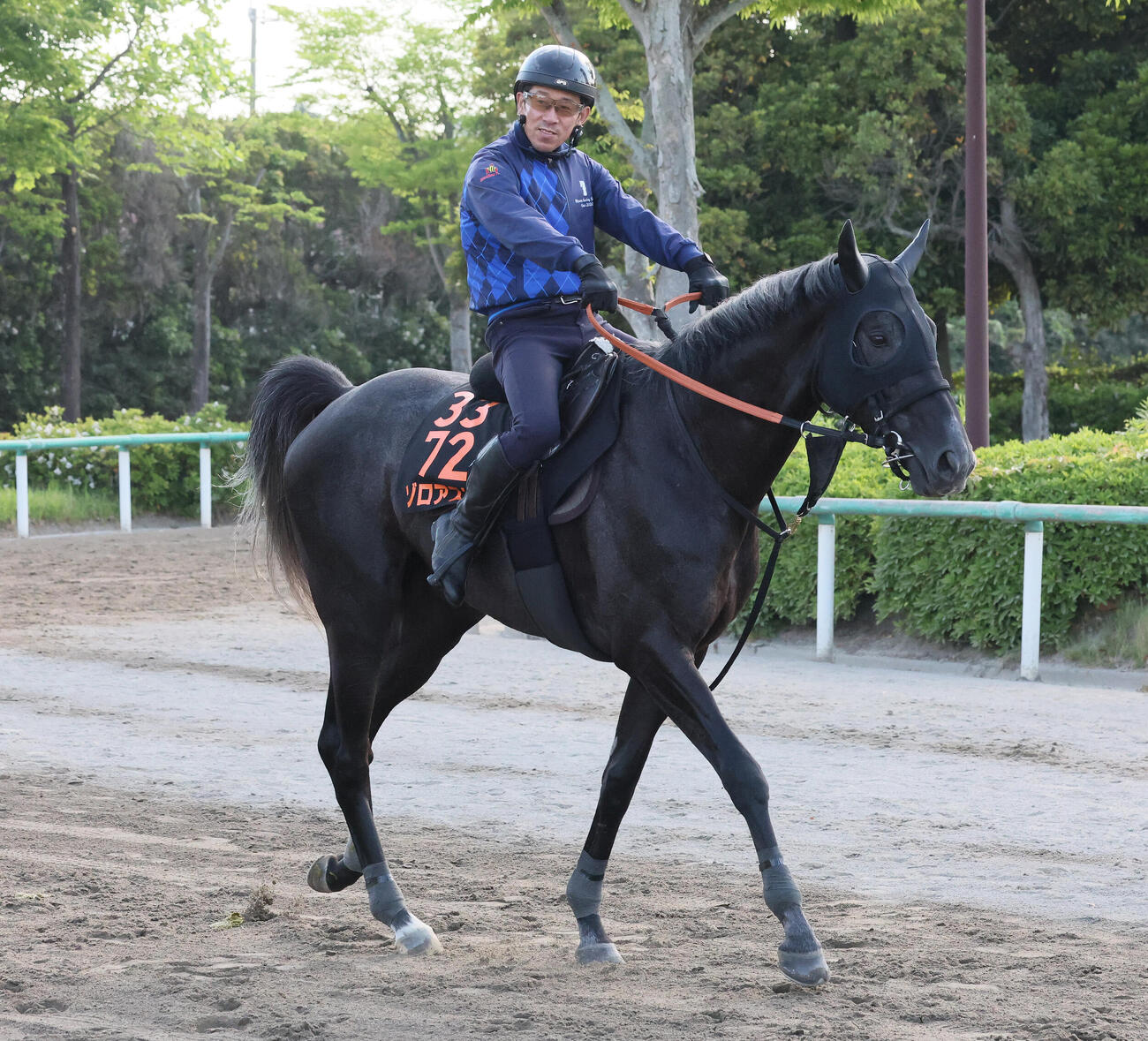 馬場へ向かうゾロアストロ（撮影・丹羽敏通）