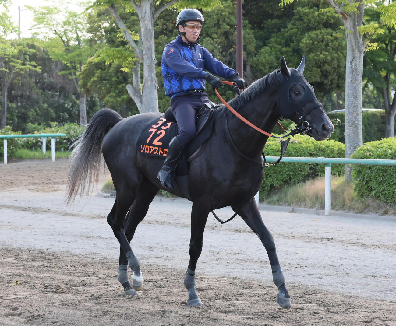馬場へ向かうゾロアストロ（撮影・丹羽敏通）