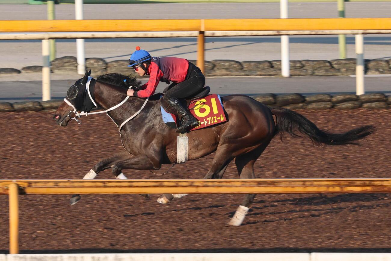 原優介騎手が騎乗し、併せ馬を一気に突き放すスマートプリエール