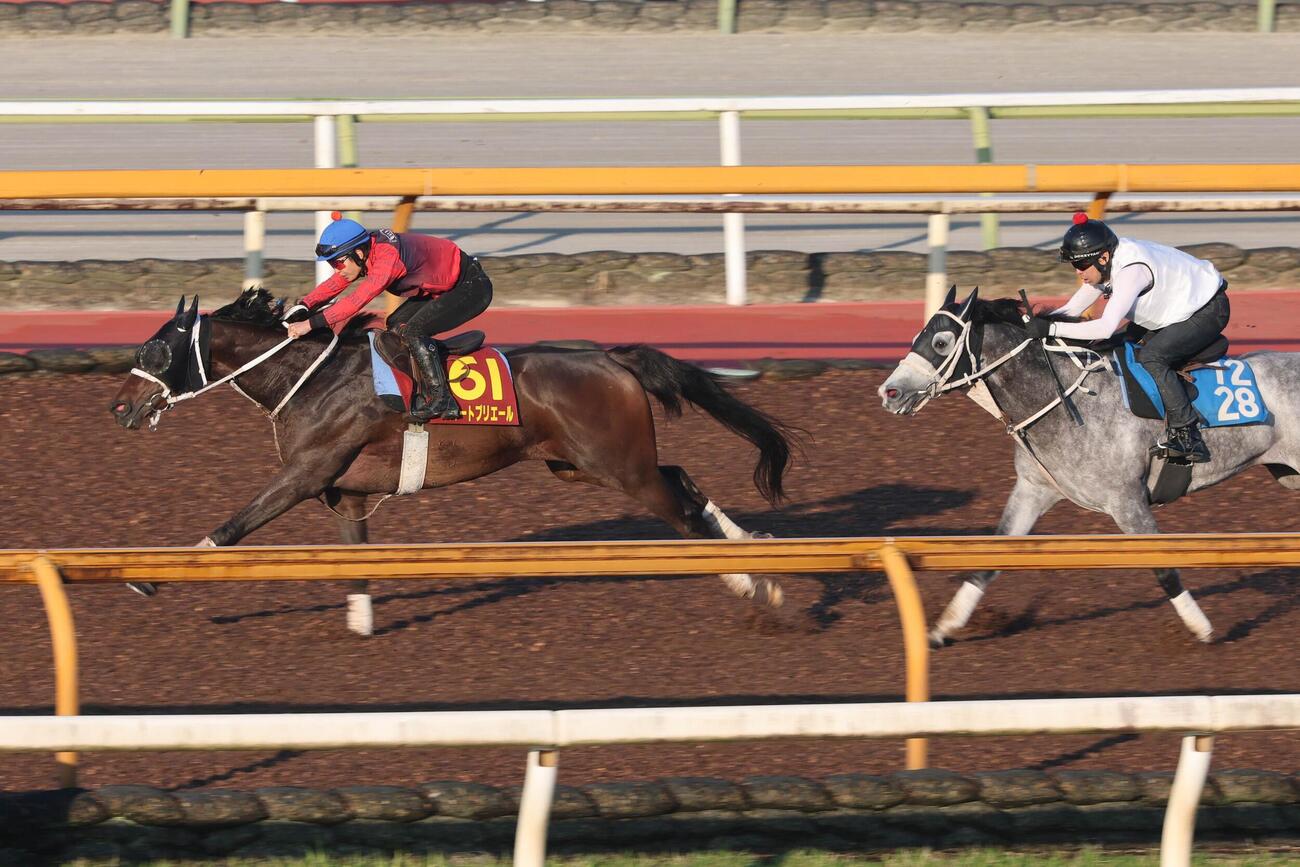 オークス1週前追い切り　原優介騎手が騎乗し、併せ馬を一気に突き放すスマートプリエール（左）。（右はスマートワイス）