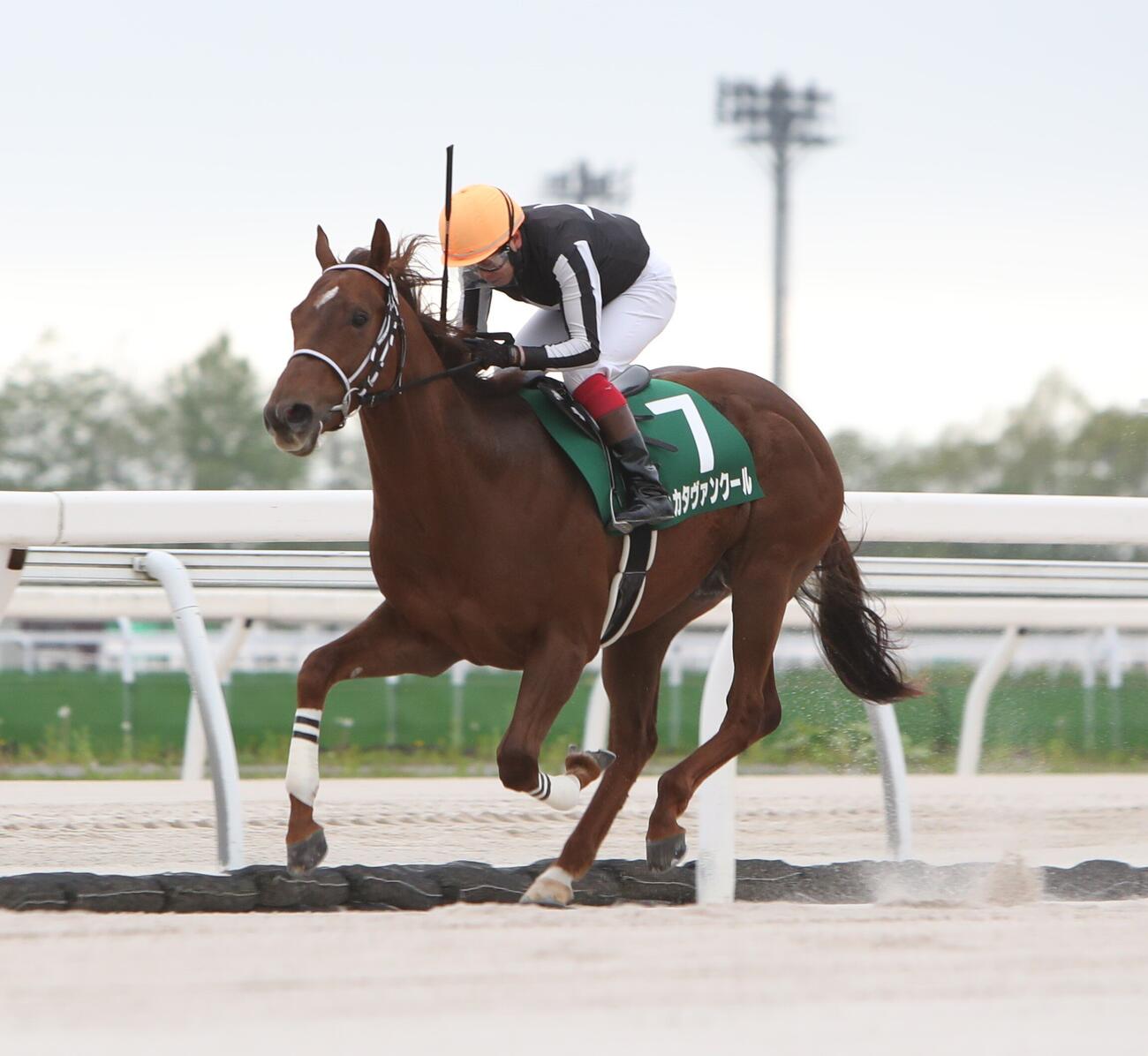 門別6R新馬戦を快勝したハカタヴァンクール（騎手・岩橋勇二）