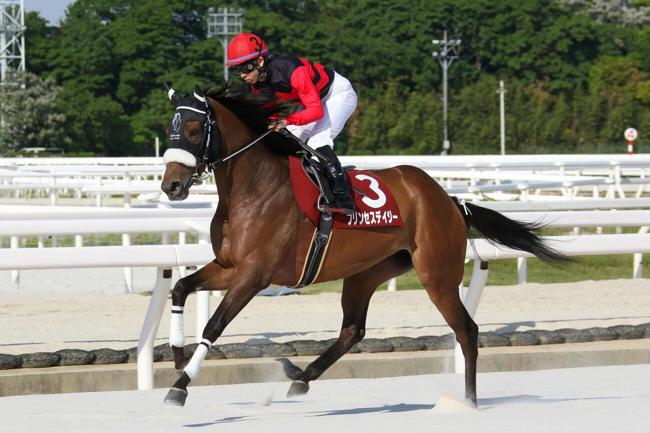 のじぎく賞を制した大井プリンセスデイジー（提供・兵庫県競馬組合）