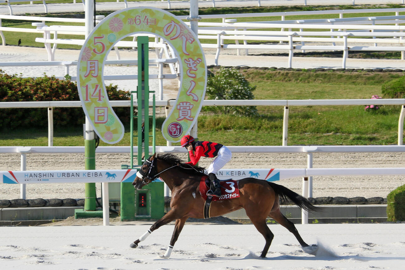 のじぎく賞のゴールを先頭で通過するプリンセスデイジー（提供・兵庫県競馬組合）