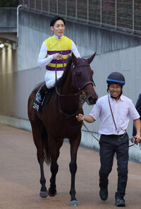 競馬 : 日刊スポーツ