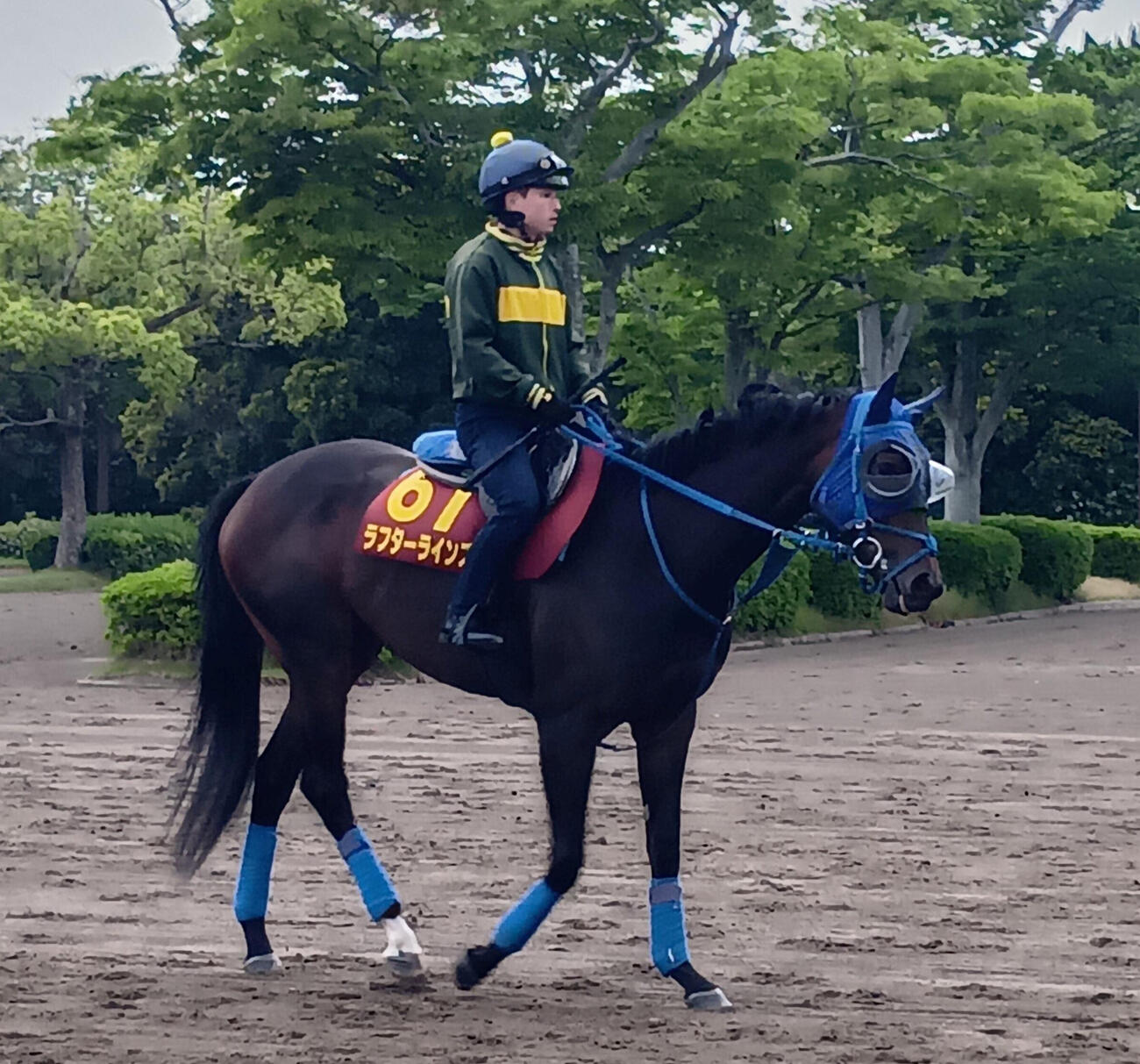 オークスの1週前追い切りに向かうラフターラインズ