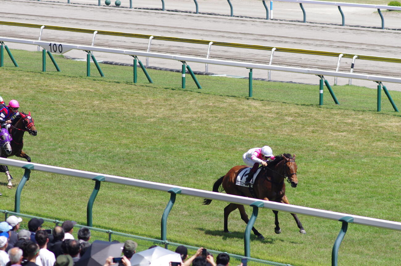 新潟6R、新潟千直を1番枠から制したアカウフリューゲル