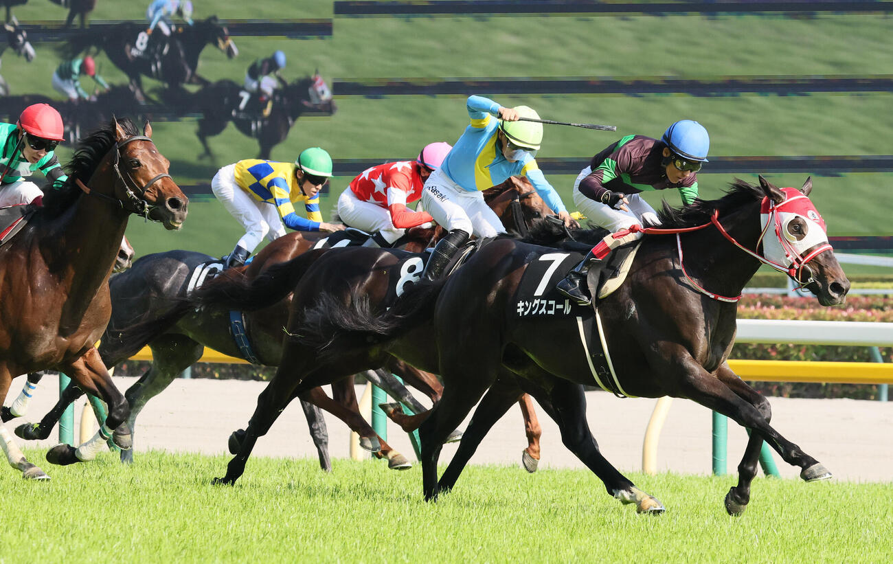 東京11R、六社Sを制したキングスコールと吉田豊騎手（撮影・丹羽敏通）