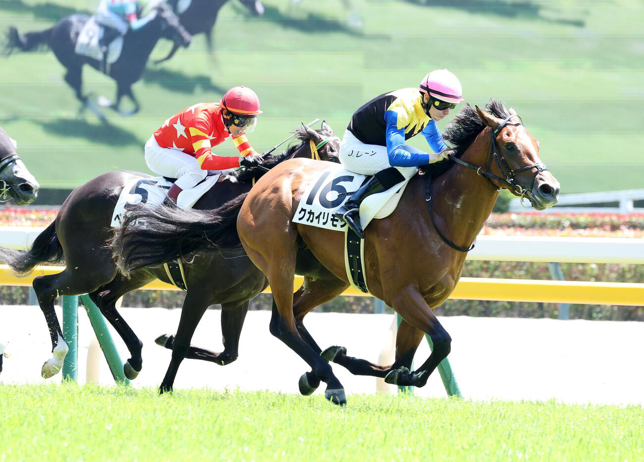 東京4R、3歳未勝利を制したクカイリモク（右）とダミアン・レーン騎手（撮影・鈴木正人）