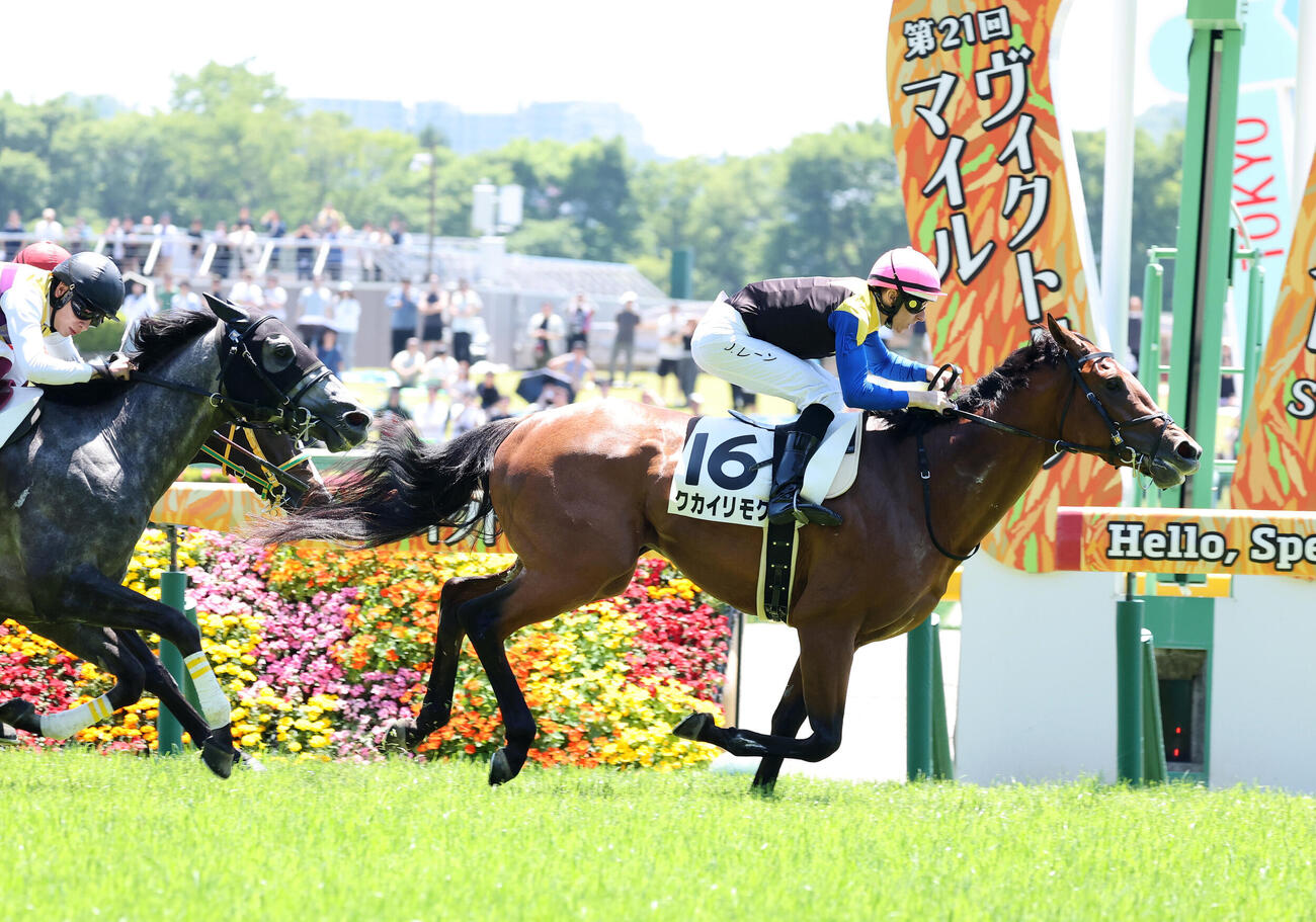 東京4R、3歳未勝利を制したクカイリモク（右）とダミアン・レーン騎手（撮影・鈴木正人）