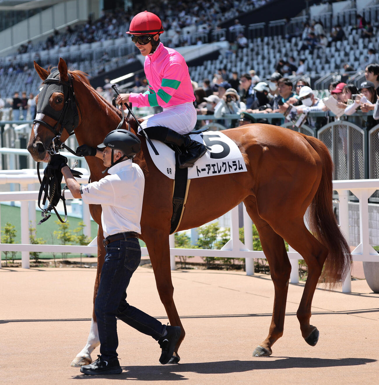 京都6R、3歳1勝クラスに出走したトーアエレクトラムと本馬場入場に臨む元調教師の国枝栄厩務員（撮影・西尾就之）