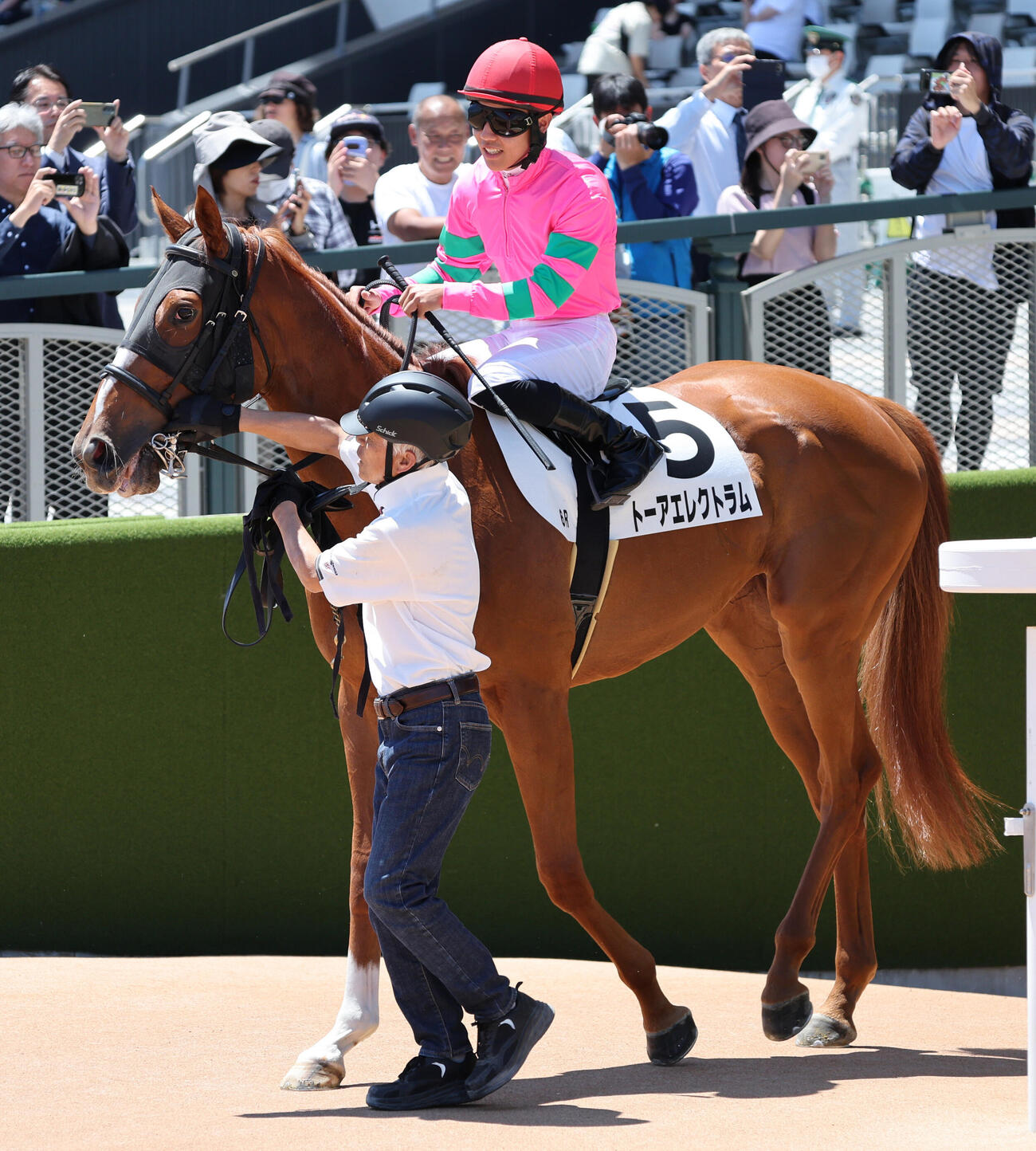 京都6R、3歳1勝クラスに出走したトーアエレクトラムと本馬場入場に臨む元調教師の国枝栄厩務員（撮影・西尾就之）