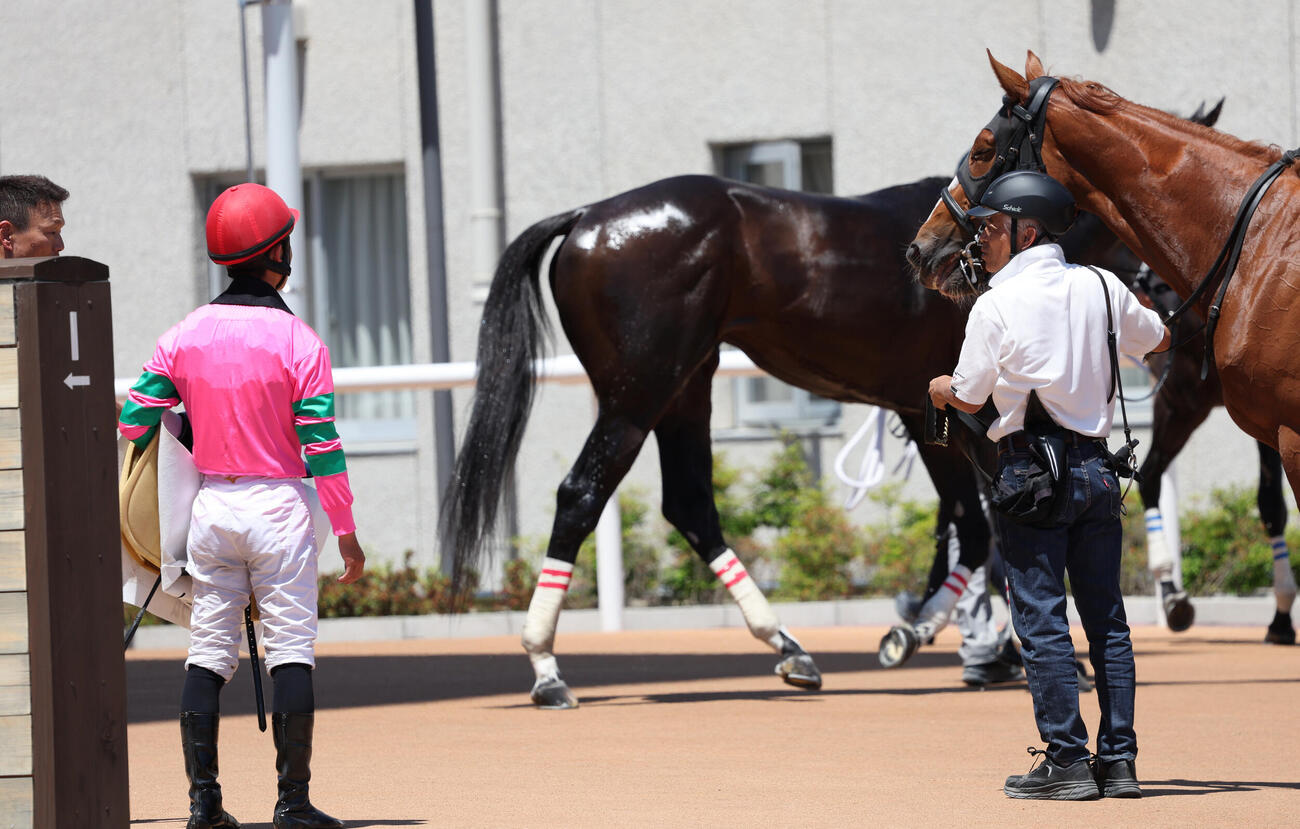京都6R、3歳1勝クラスで10着だったトーアエレクトラムを迎える元調教師の国枝栄厩務員（撮影・西尾就之）