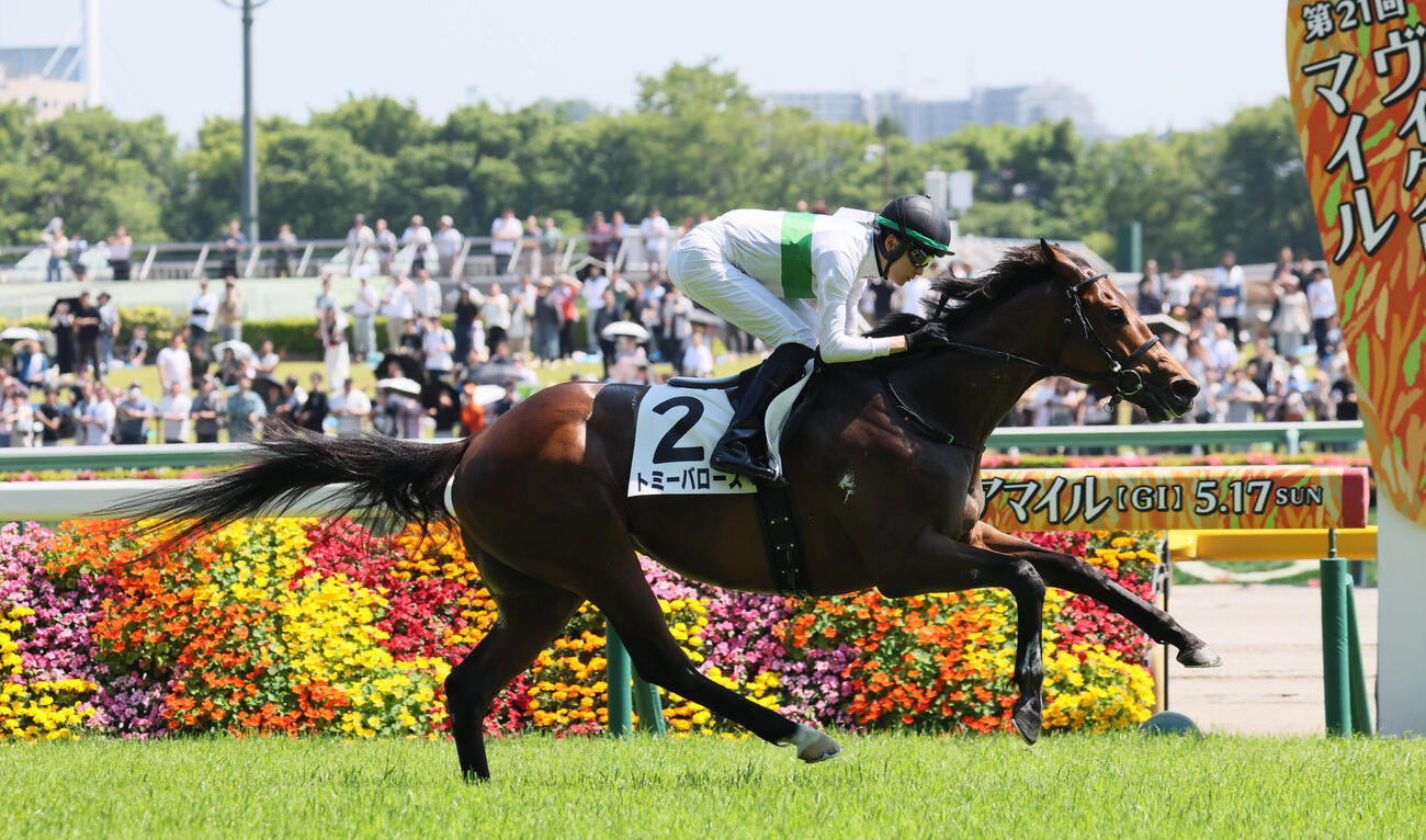 東京7R、3歳1勝クラスを制したトミーバローズと坂井瑠星騎手（撮影・丹羽敏通）