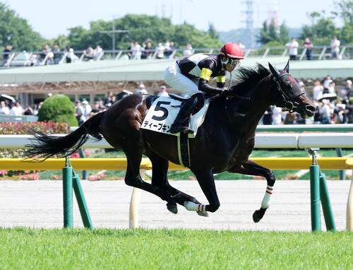 歴代2位の約6年ぶり勝利！9歳馬ディープキングが2勝目、丹内騎手