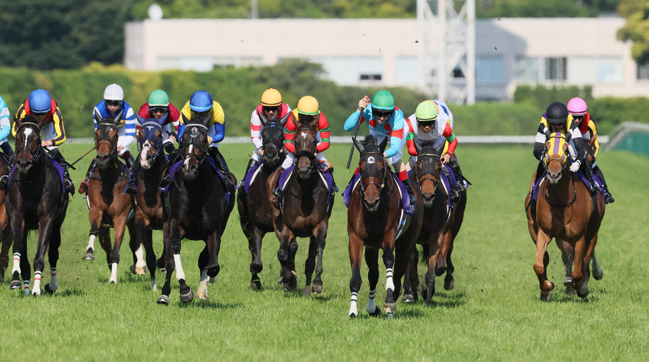 エンブロイダリーが制したヴィクトリアM（撮影・丹羽敏通）