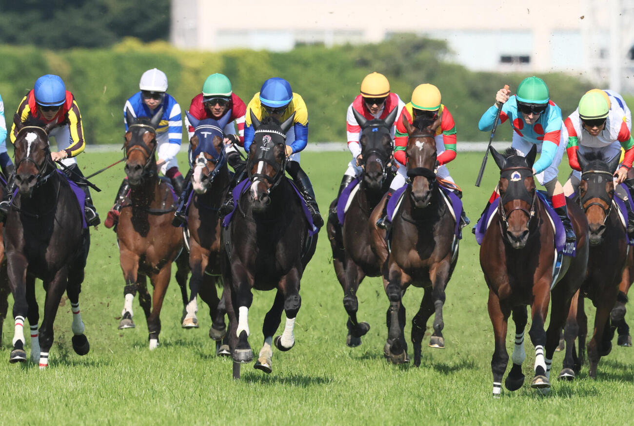 ヴィクトリアM3着に入ったクイーンズウォーク（左端）（撮影・丹羽敏通）