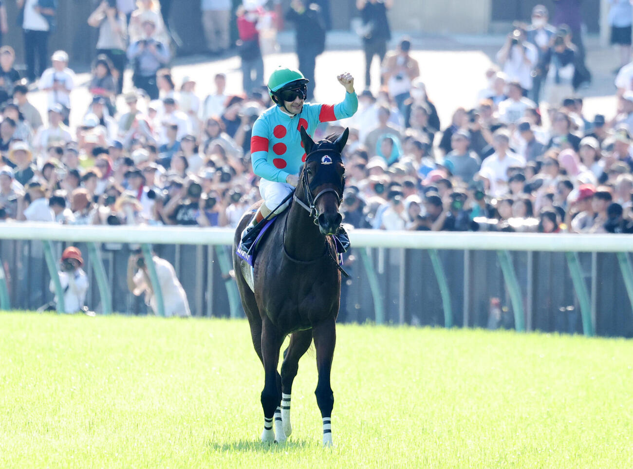 ヴィクトリアMを制したエンブロイダリーとガッツポーズするC・ルメール騎手（撮影・鈴木正人）