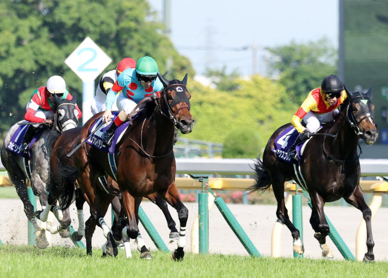 東京11R　ヴィクトリアMを制したエンブロイダリー（中央）とC・ルメール騎手（撮影・鈴木正人）