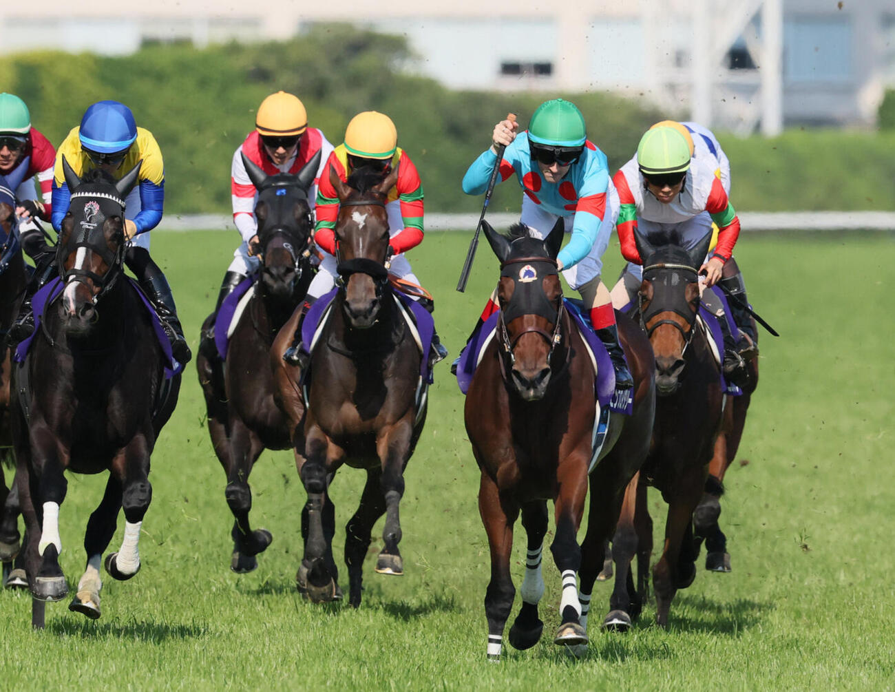 東京11R、エンブロイダリーでヴィクトリアMを制してガッツポーズを決める馬上のクリストフ・ルメール騎手。左端は3着クイーンズウォーク、同4頭目は2着カムニャック（撮影・丹羽敏通）