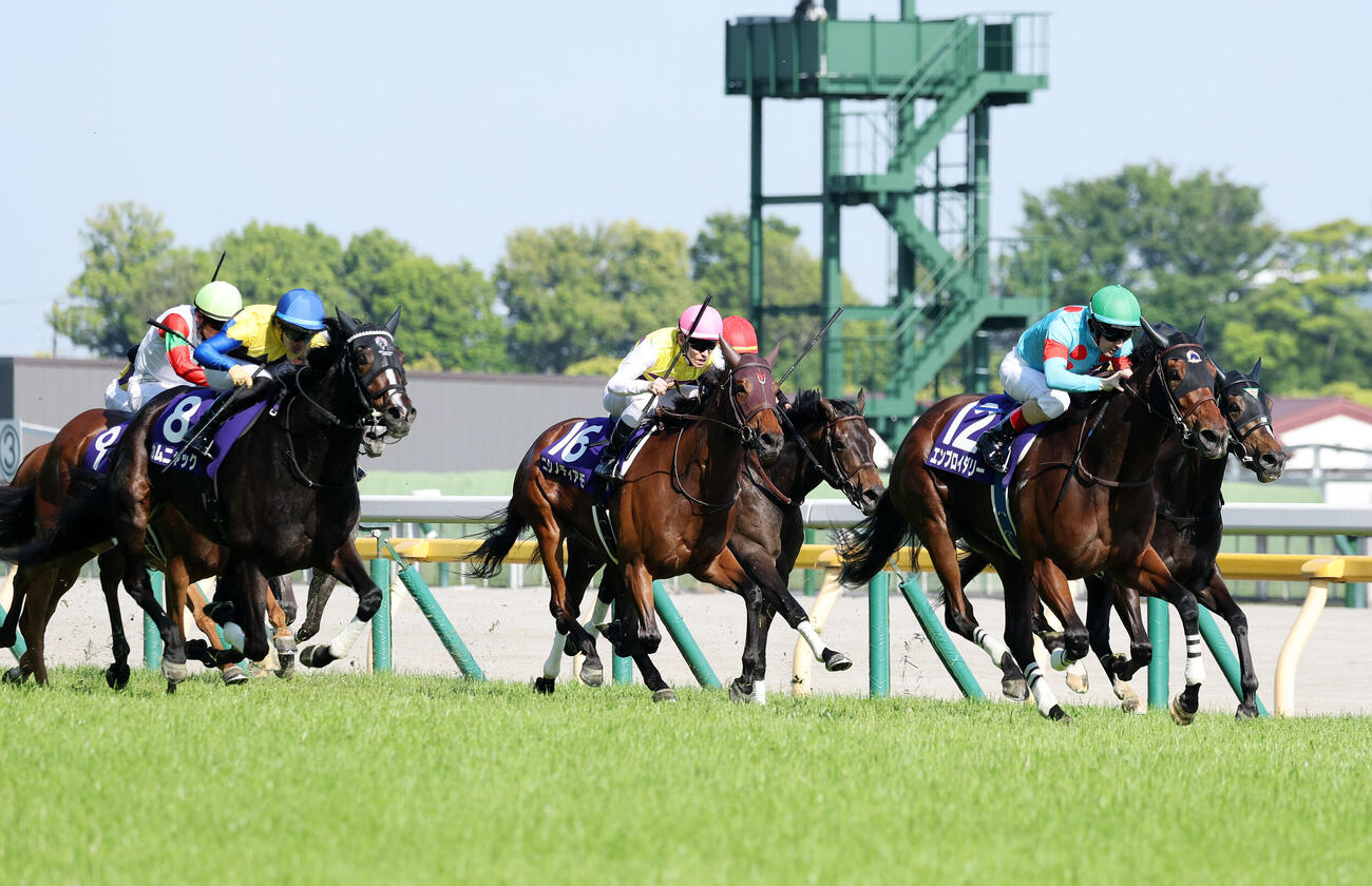 エンブロイダリーが制したヴィクトリアM（撮影・鈴木正人）